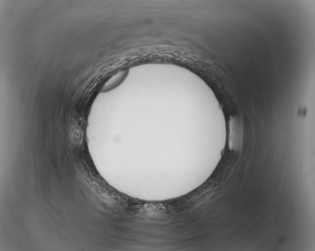 X0000115601491200912011514