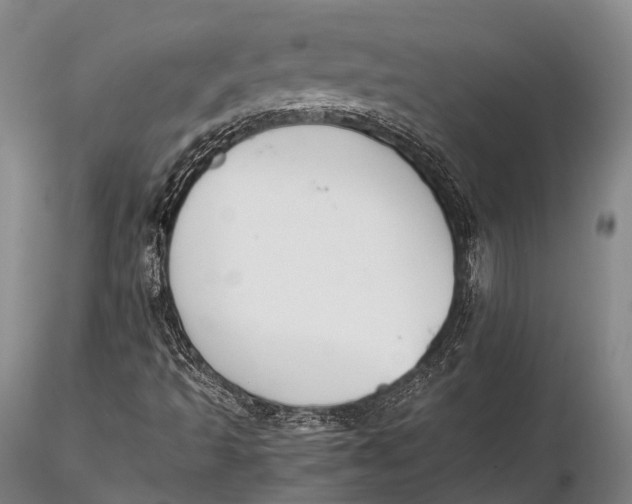 X0000115601493200912011514