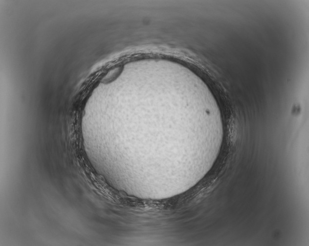 X0000115601494200912011514