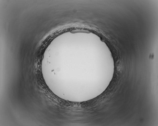 X0000115601495200912011514