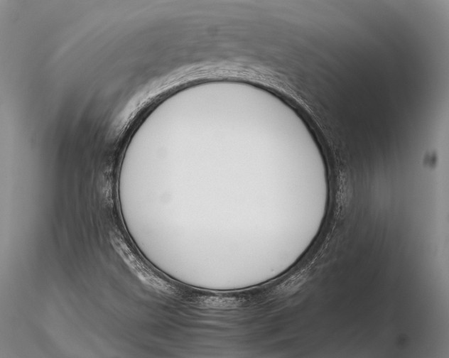 X0000115601499200912011514