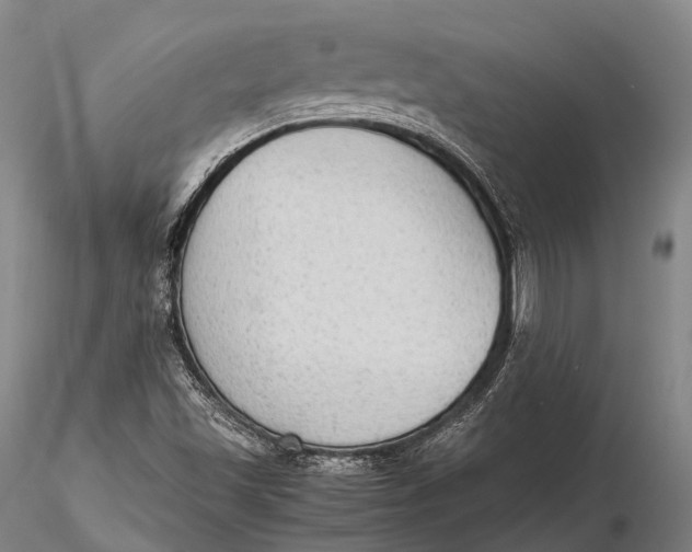 X0000115601501200912011514