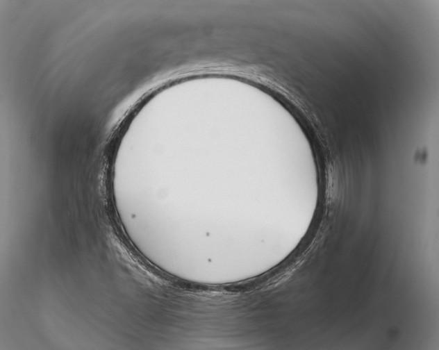 X0000115601502200912011514