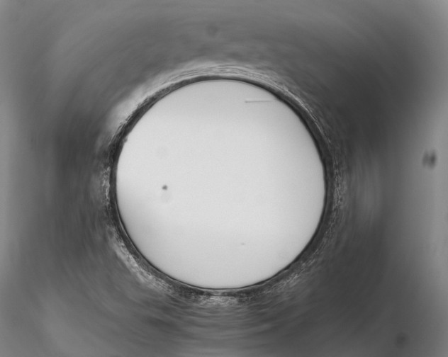 X0000115601503200912011514