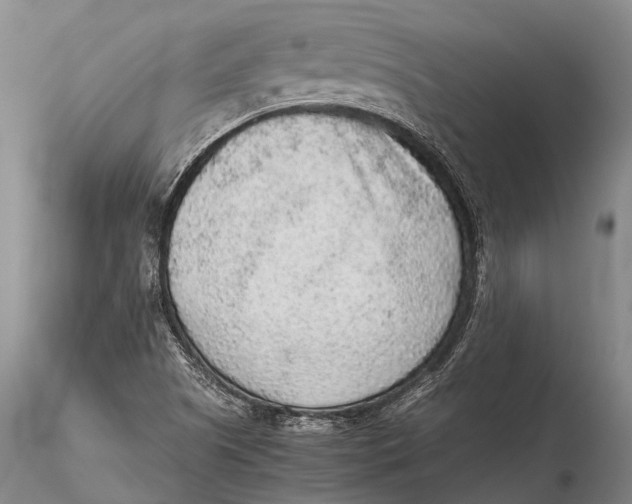 X0000115601505200912011514