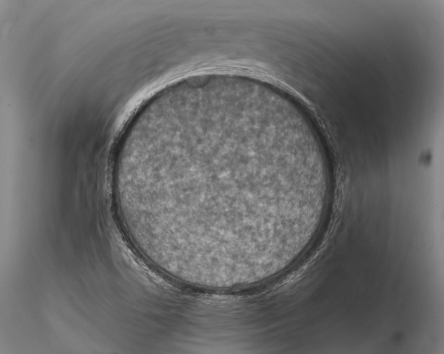 X0000115601506200912011514