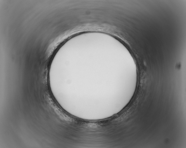 X0000115601507200912011514