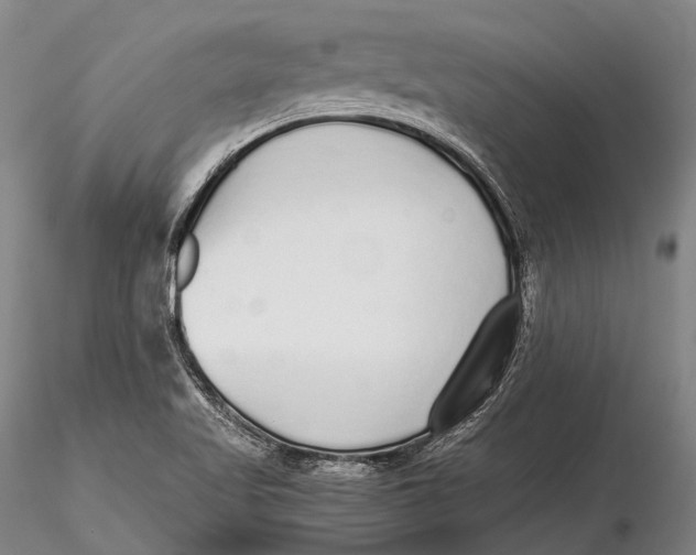 X0000115601509200912011514