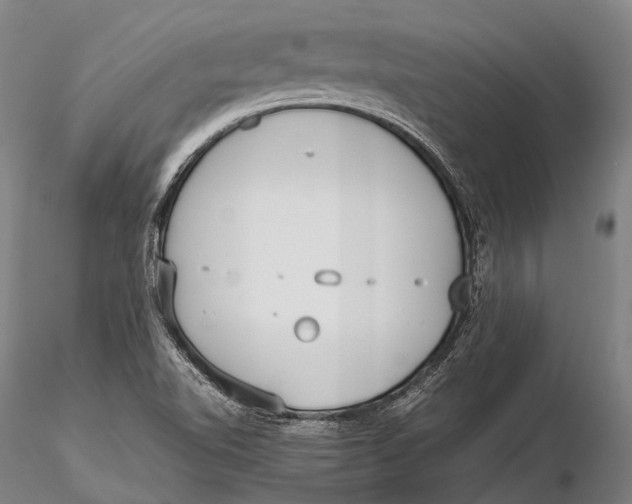 X0000115601510200912011514