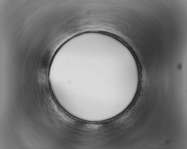 X0000115601513200912011515