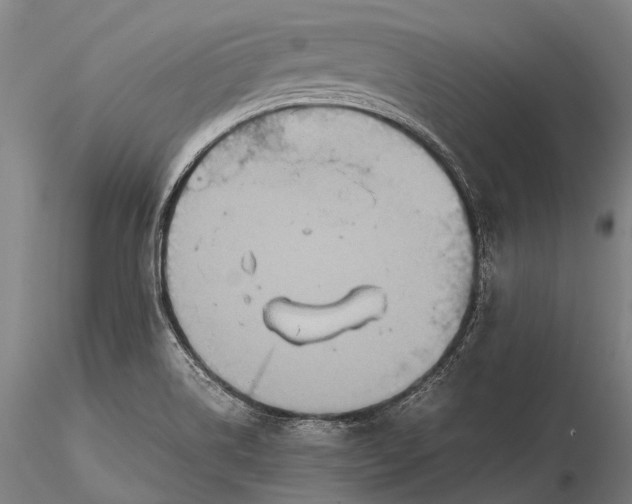 X0000115601514200912011515