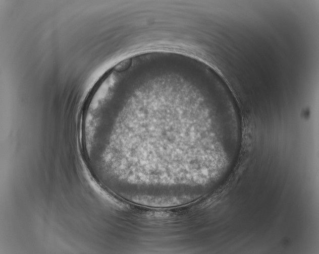 X0000115601515200912011515