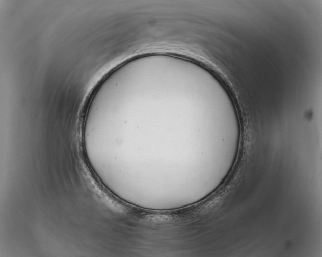 X0000115601517200912011515