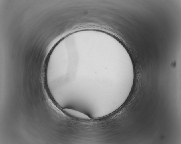 X0000115601518200912011515