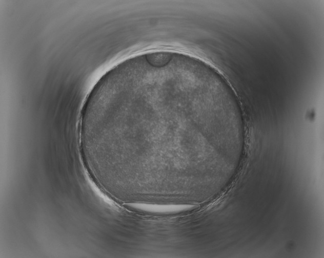 X0000115601519200912011515