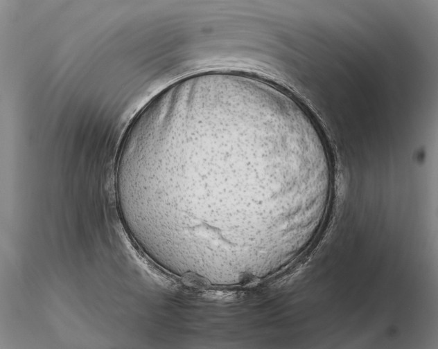 X0000115601521200912011515