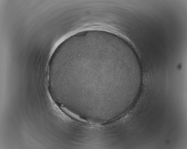 X0000115601522200912011515