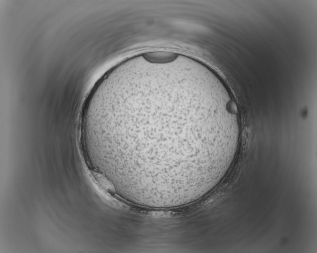 X0000115601523200912011515