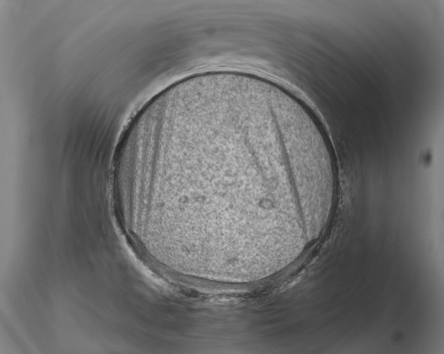 X0000115601525200912011515