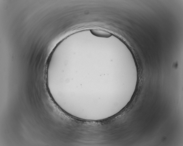 X0000115601526200912011515