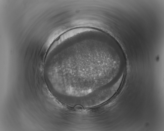 X0000115601529200912011515