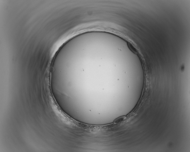 X0000115601530200912011515