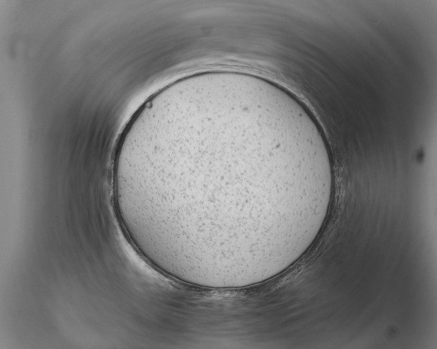 X0000115601531200912011515