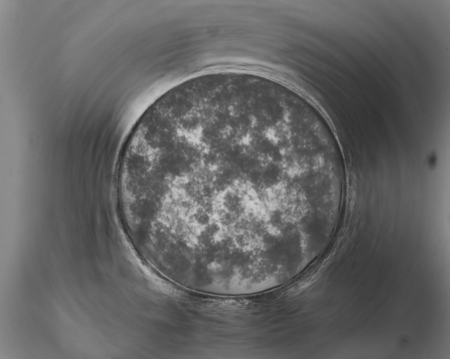 X0000115601533200912011515