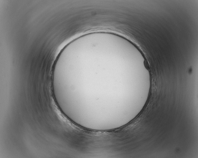 X0000115601534200912011515