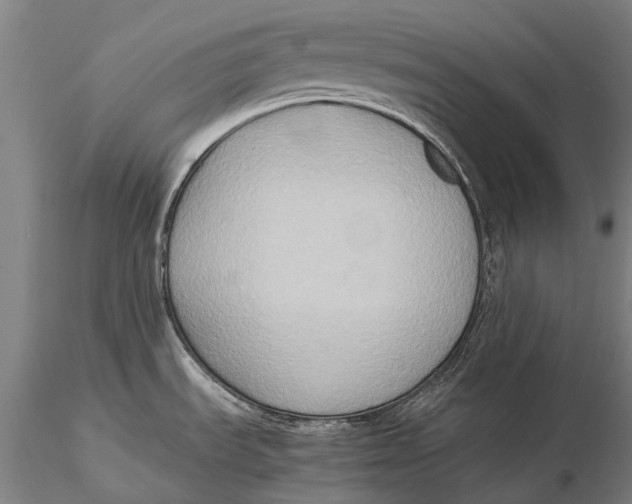 X0000115601535200912011515