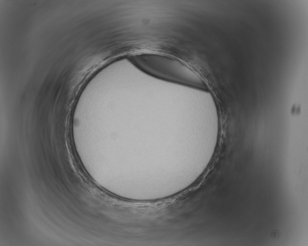 X0000115600001200912081124