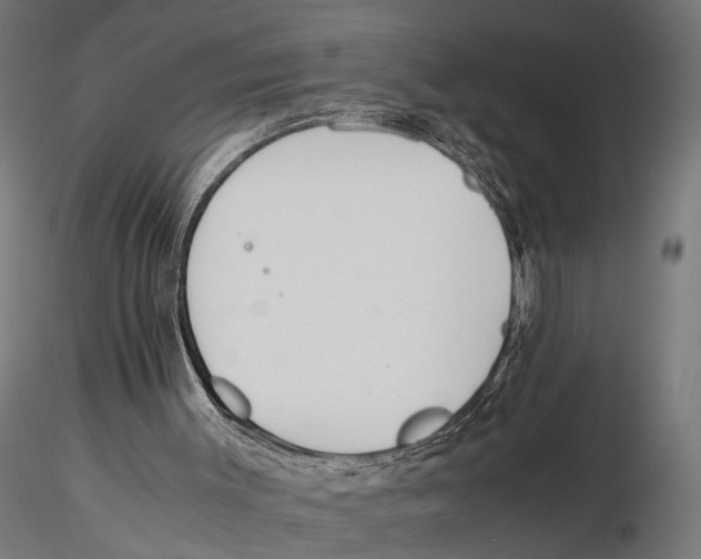 X0000115600003200912081124