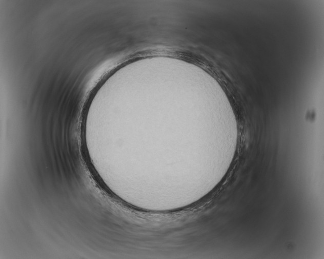 X0000115600006200912081124