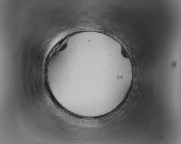 X0000115600008200912081124