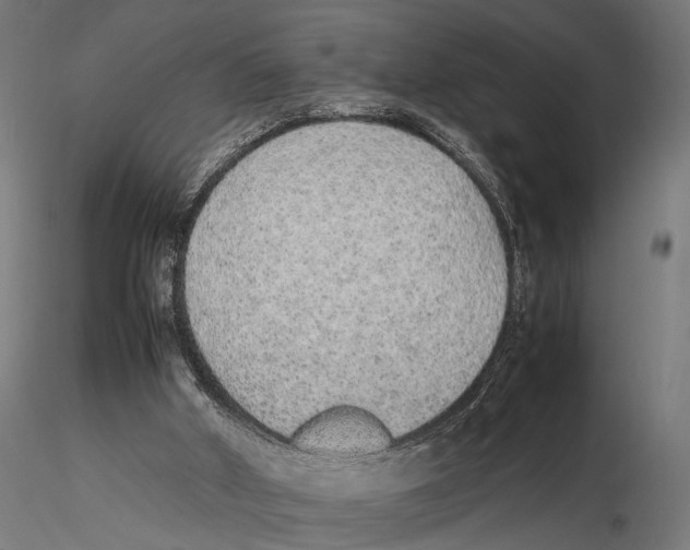 X0000115600010200912081124