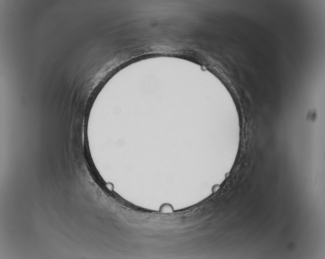 X0000115600011200912081124