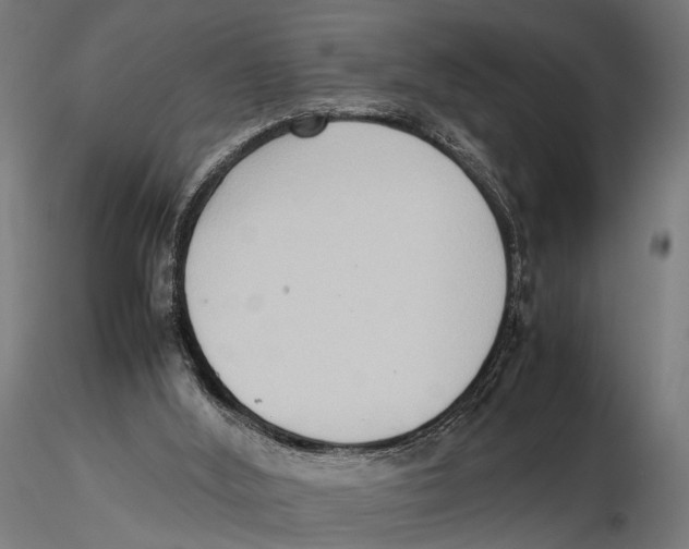 X0000115600012200912081124