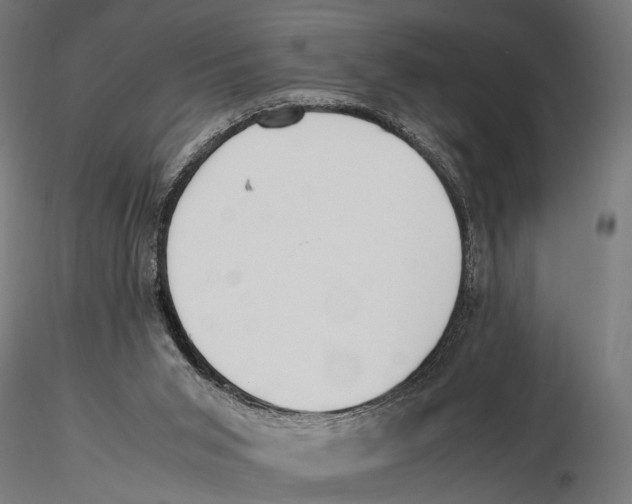 X0000115600015200912081124