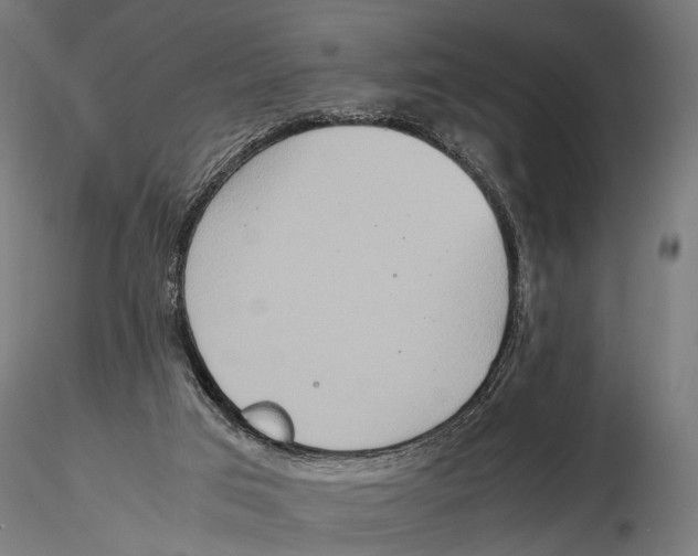 X0000115600017200912081124