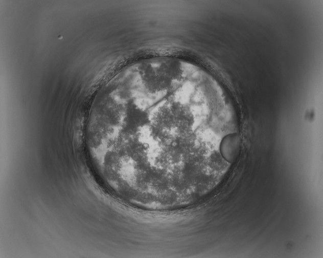 X0000115600018200912081124