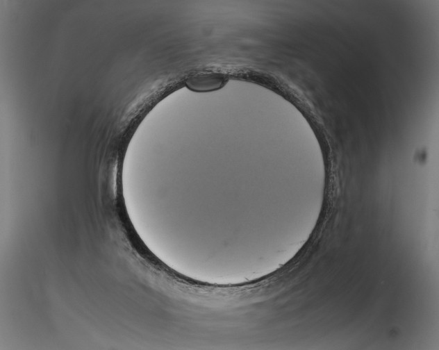 X0000115600019200912081124