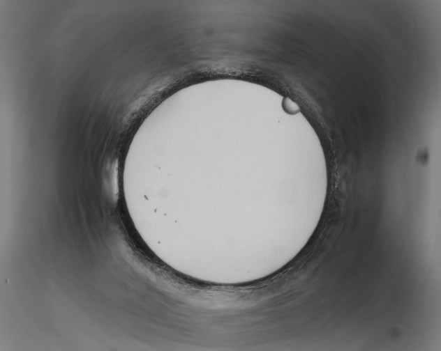 X0000115600020200912081124