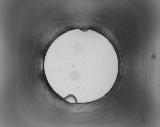 X0000115600021200912081124