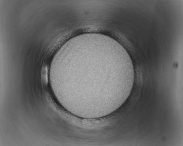 X0000115600022200912081124