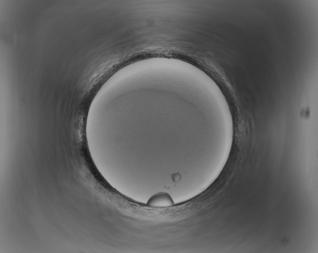 X0000115600023200912081124