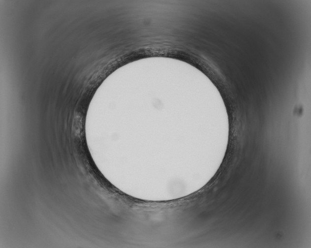 X0000115600025200912081124