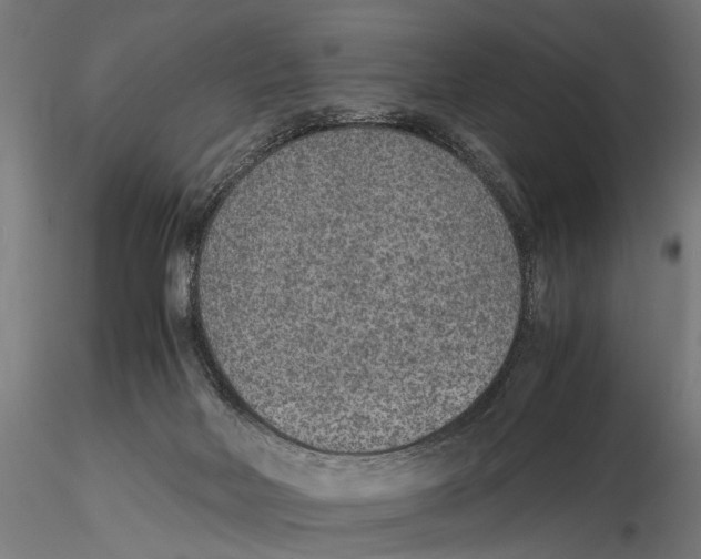 X0000115600026200912081124