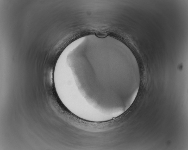 X0000115600027200912081124