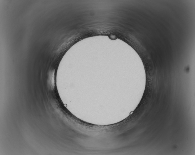 X0000115600028200912081124