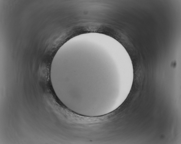 X0000115600031200912081124